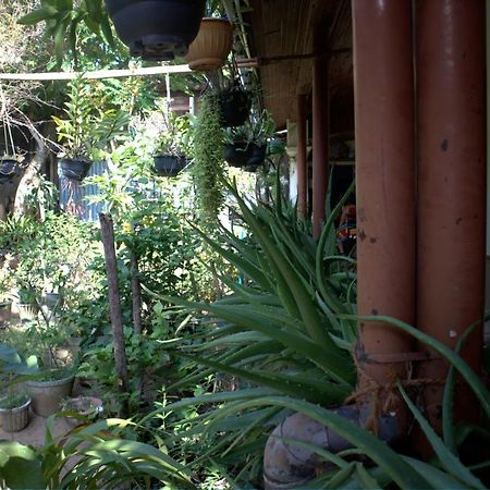 فندق Old Dutch House كالي المظهر الخارجي الصورة